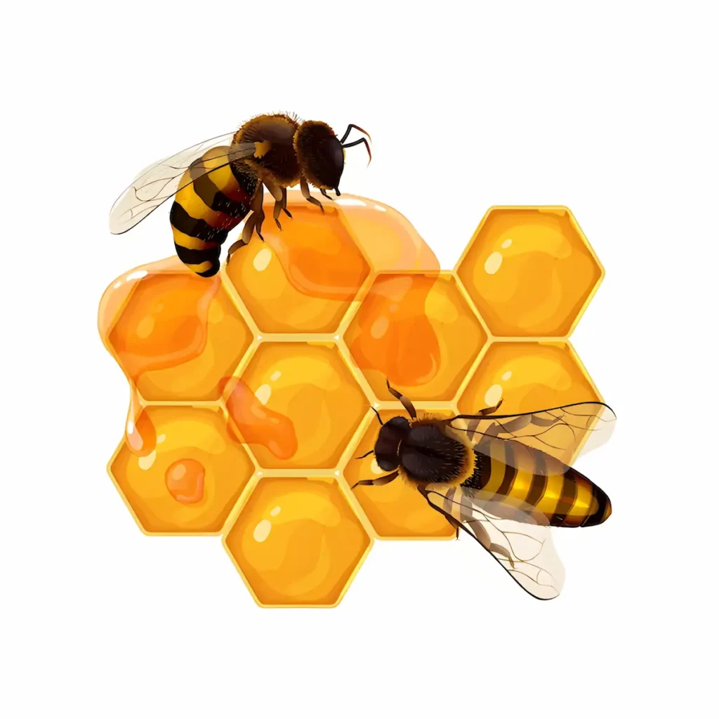 الفوائد الغذائية والصحية لغذاء ملكات النحل